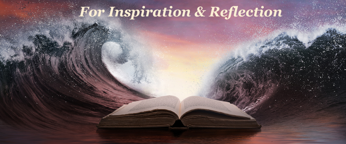 Inspiration & Reflection